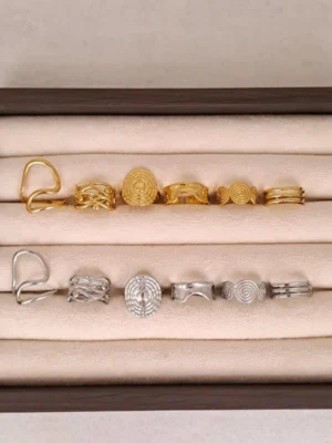SET ANILLOS X12